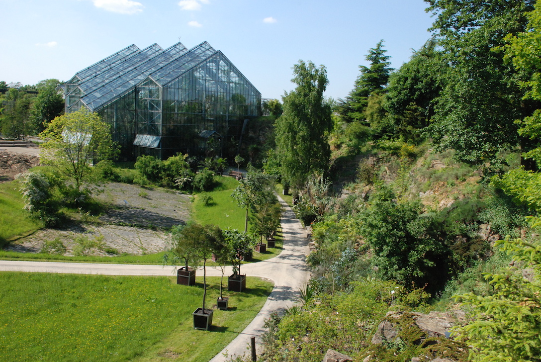 Botanical Garden - Rainforest Greenhouse Botanical Garden - Rainforest Greenhouse