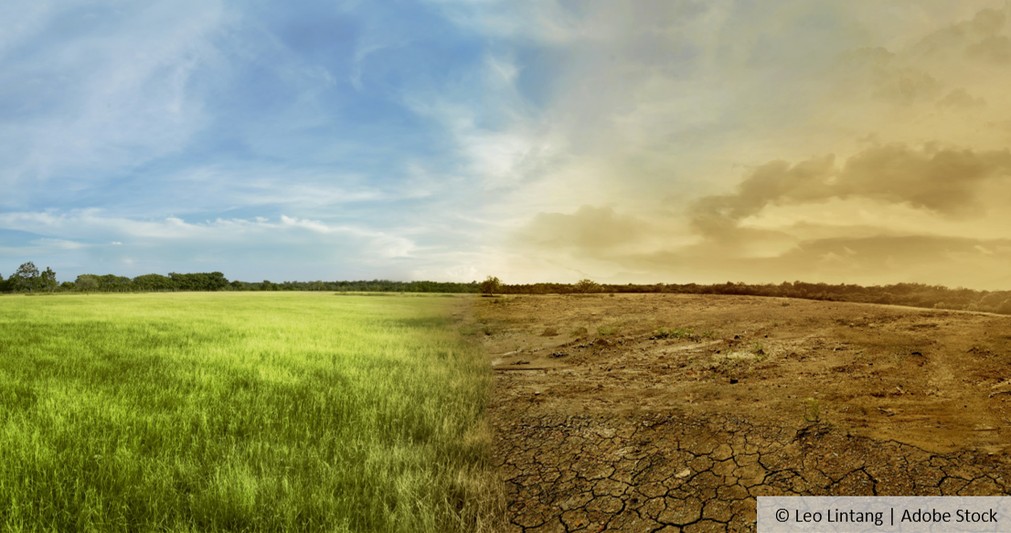 Gegenüberstellung von grüner und trockener Landschaft, © Leo Lintang | Adobe Stock