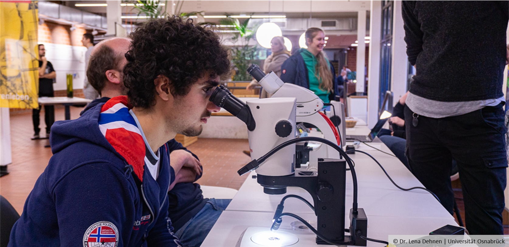 Eine junge Person schaut durch ein Mikroskop.