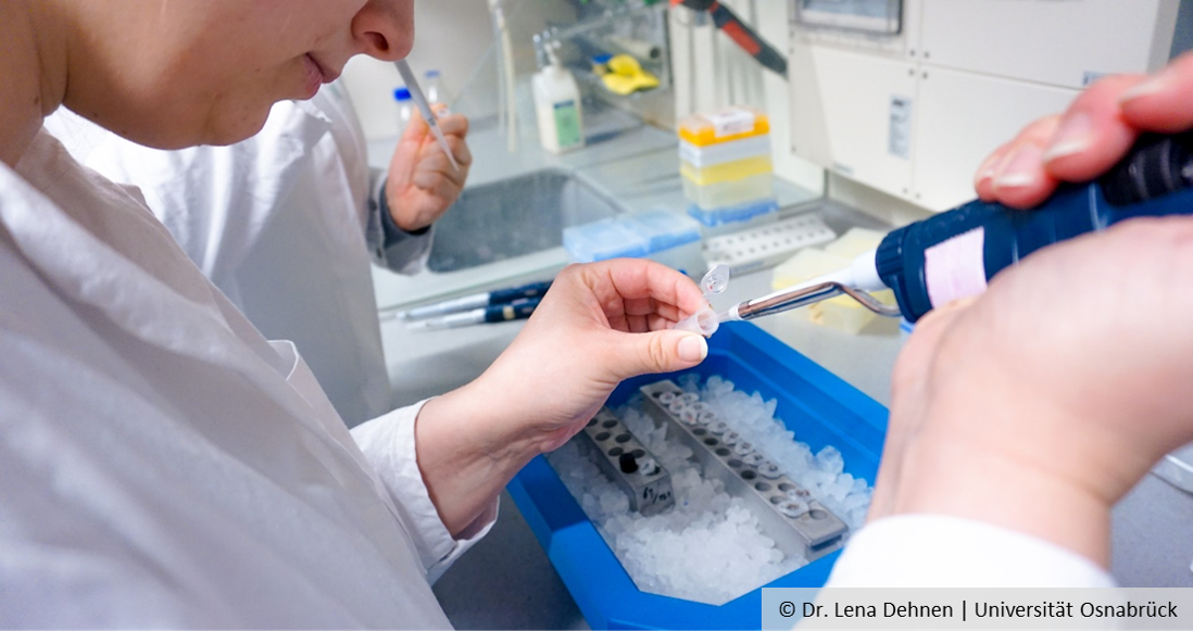 Einer Person hantiert mit einer Pipette. Einer Person hantiert mit einer Pipette.