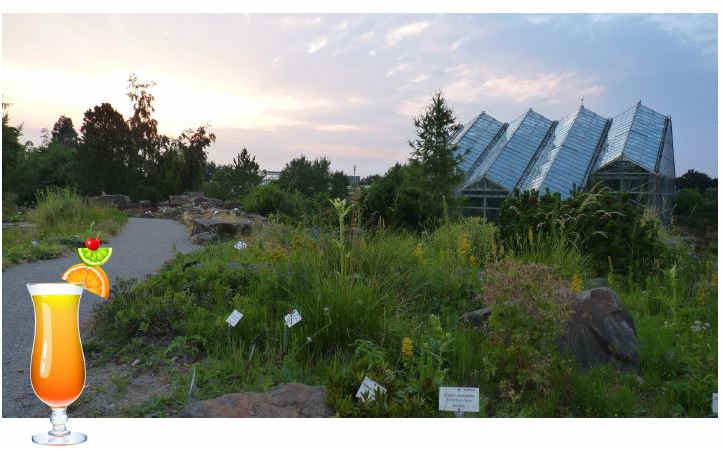 Blick auf das Tropenhaus des Botanischen Gartens