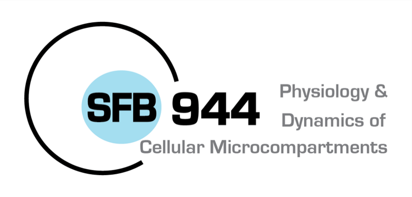 Logo SFB 944