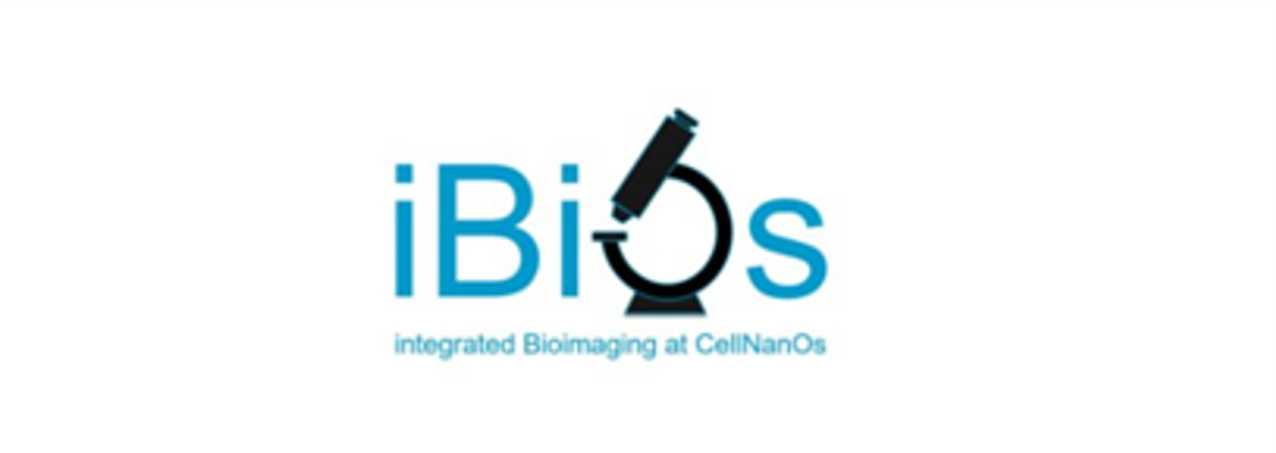 Logo iBiOS